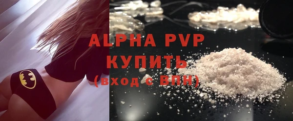 прущие грибы Бородино