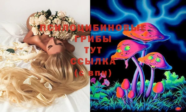 прущие грибы Бородино