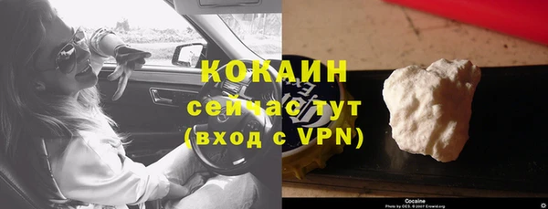 прущие грибы Бородино