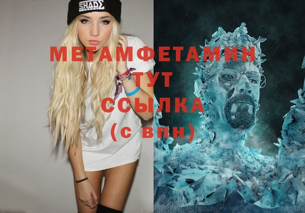 прущие грибы Бородино
