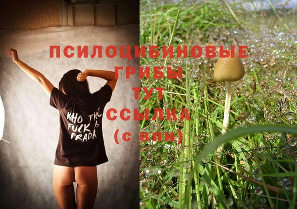 ECSTASY Бугульма
