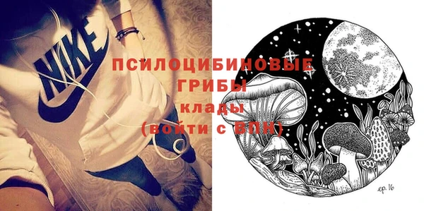 прущие грибы Бородино