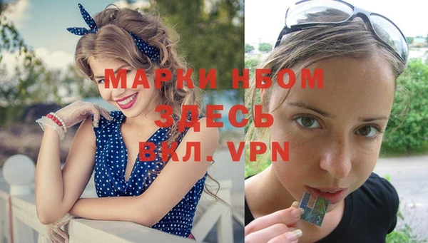 прущие грибы Бородино