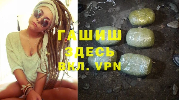 прущие грибы Бородино