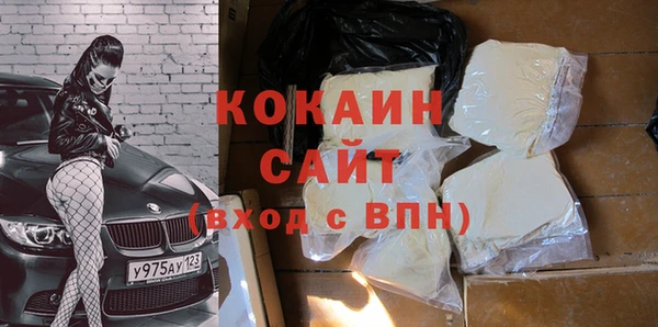 прущие грибы Бородино