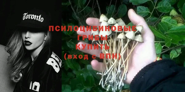 прущие грибы Бородино