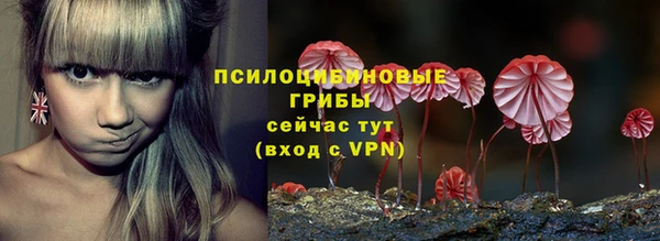 ECSTASY Бугульма