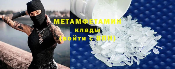 прущие грибы Бородино