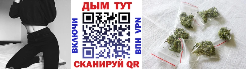Купить закладки  Талдом  Каннабис семена 